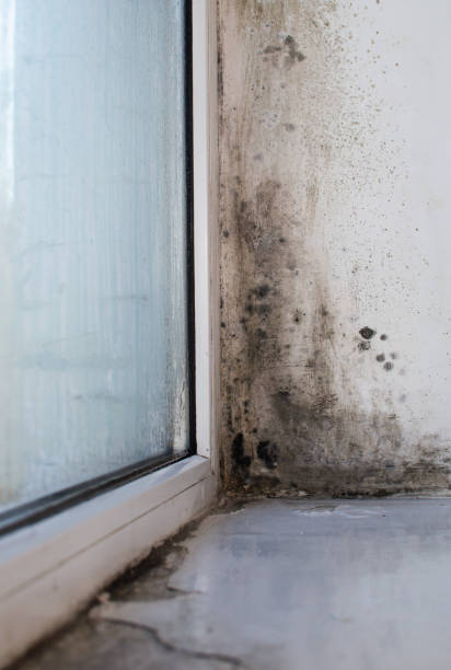 istock wet glass and mold on the window. 2169874721