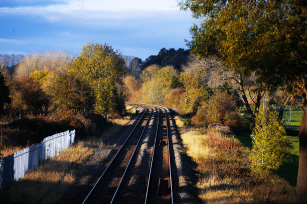 old railway goes through the forest