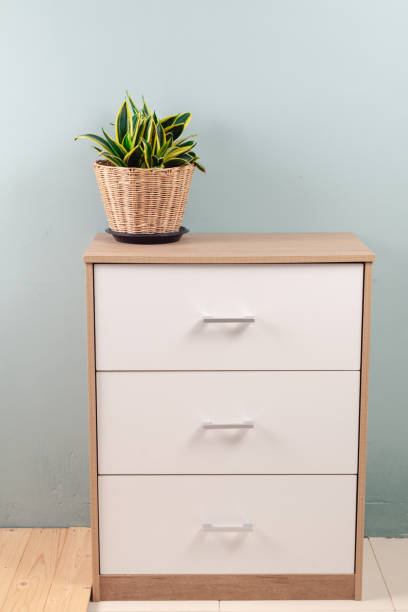 istock Snake plant or Devil Tongue (Sansevieria trifasciata) in flower pot, white pattern wall background on white office storage cabinet. Small evergreen houseplant for modern home decor interior design 2169876255