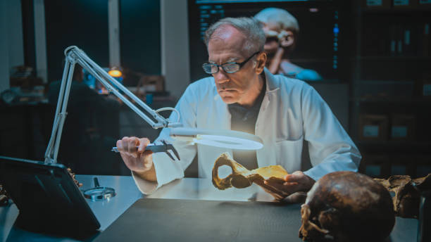 istock Senior archaeologist measures and studies fossil bones, uses tablet computer 2169879133