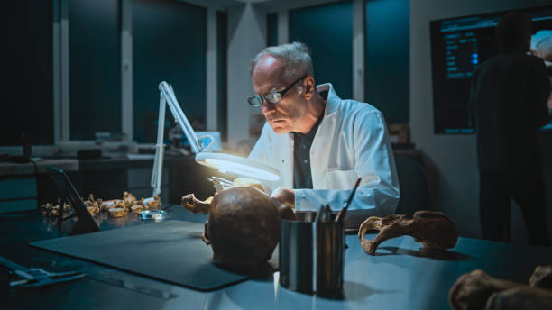 istock Senior archaeologist measures and studies fossil bones, uses tablet computer 2169880485