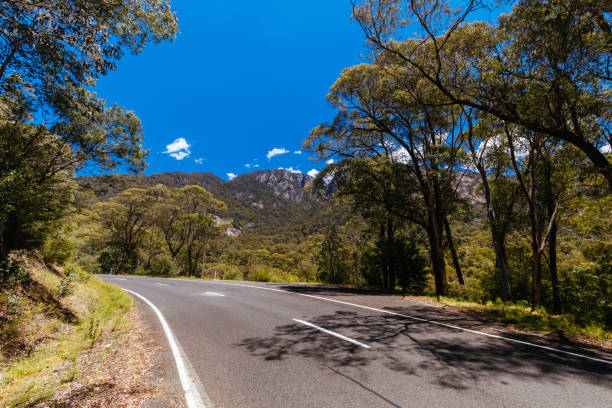 istock Mt Buffalo in Victoria Australia 2169884081