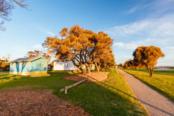 istock Rye in Mornington Peninsula Australia 2169884095