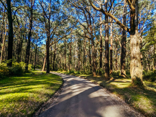 istock Silvan Rd in Melbourne Australia 2169884179