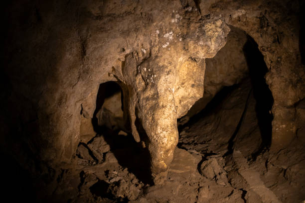 detail of rock formations inside the caves of nerja