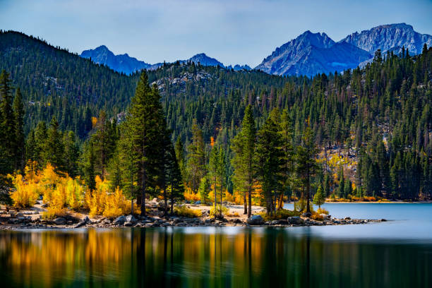 Color and reflection at Rock Creek Lake in the Eastern Sierras of California..