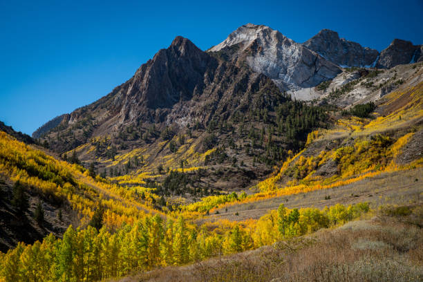 istock Lundy Canyon Fall Color 2169892260