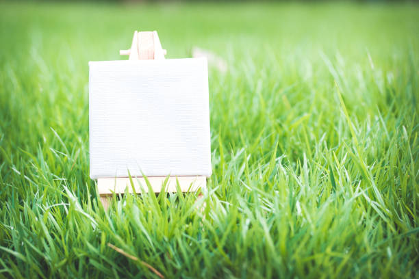 Blank Canvas on Miniature Easel in Grass Representing Creative Potential and New Beginnings