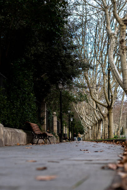 istock Public park in Valladolid - Spain 2169900655