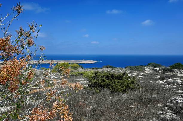 istock Ayia Napa nature reserve. 2169902364