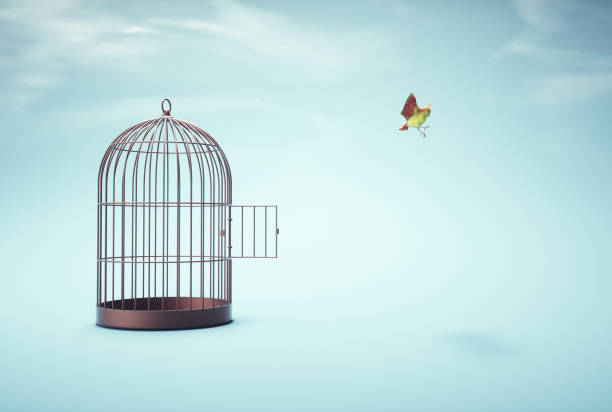 Bird escapes from bird cage. Freedom and open mind concept. This is a 3d render illustration