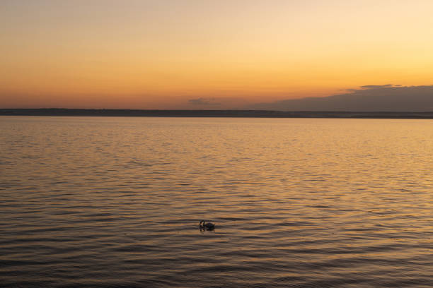 sunset on the lake
