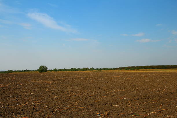 istock A field of dirt 2169904450