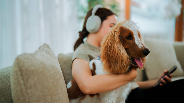 istock Male dog lying on sofa with his owner while she's using mobile phone. 2169905269