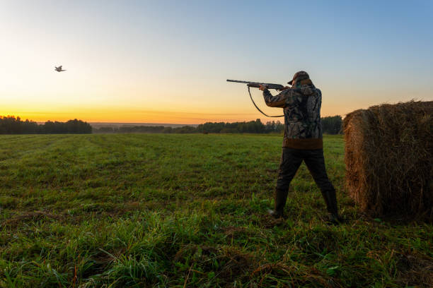 istock Pheasant hunter take aim. Autumn hunting season. 2169907878