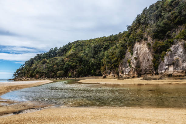 istock Abel Tasman National Park. (New Zealand) 2169907925