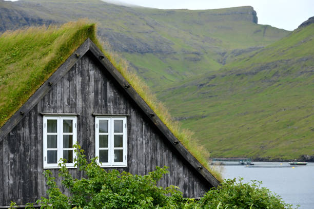 istock House with typical turf-top grass roof 2169908847