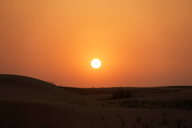 Dubai Nature Preserve