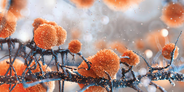 3d Render Testing Liquid from Glass Pipette to Moldy Fungi in Petri Dish on Reflective Background, Laboratory and Medical Concept (Depth Of Field)