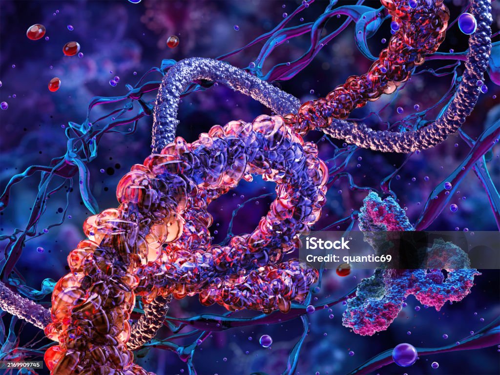 3d Protein Molecules Structure Formed By Amino Acids And Peptides Stock ...