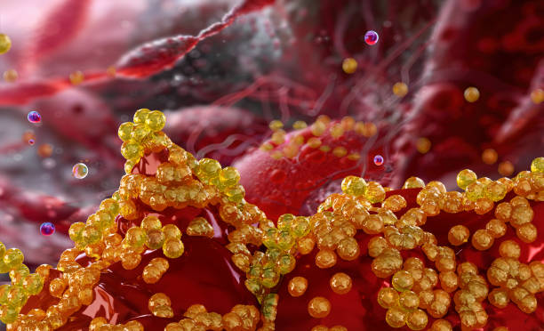 istock Staphylococcus bacteria, gram-positive cocci cells, grape-like clusters. 2169909760
