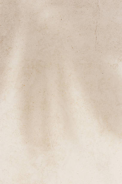 istock Summer minimal style background with shadow from natural palm leaf on light beige concrete background, hard light, copy space. Pastel color aesthetic photography with palm shadows at sunlight. 2169910208
