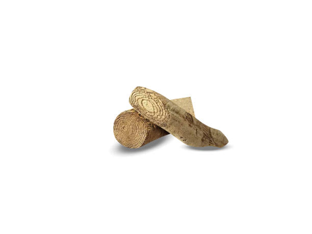 istock Cissampelos pareira or velvetleaf roots 2169916754