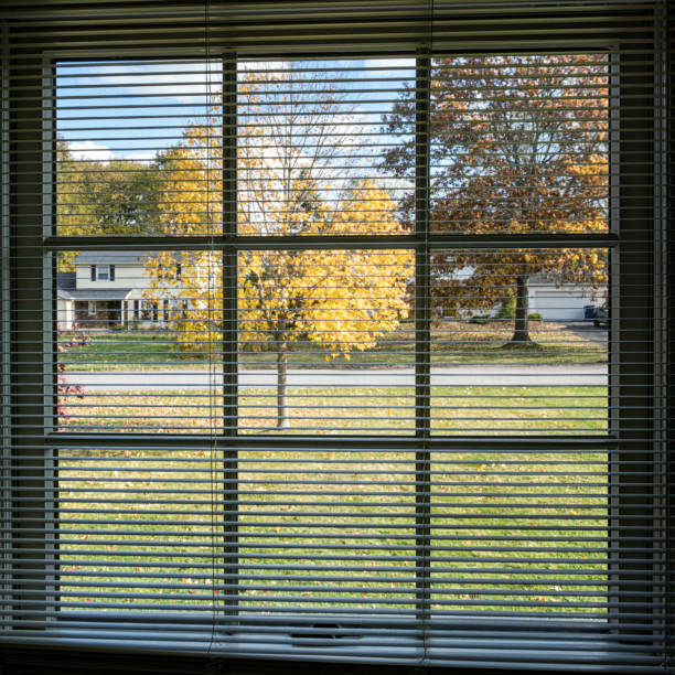 Autumn bright colors viewed through a suburban residential district living room window. Early November near the city of Rochester, in western New York State.