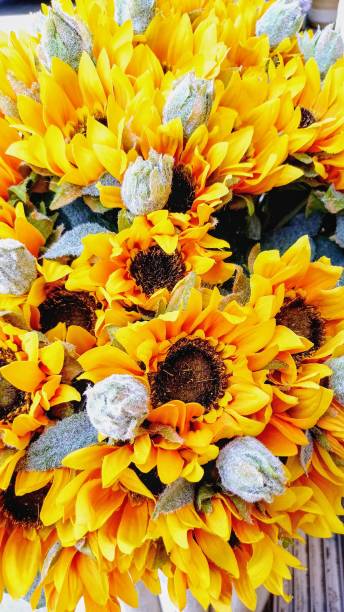 istock decorative colorful artificial flowers 2169925243