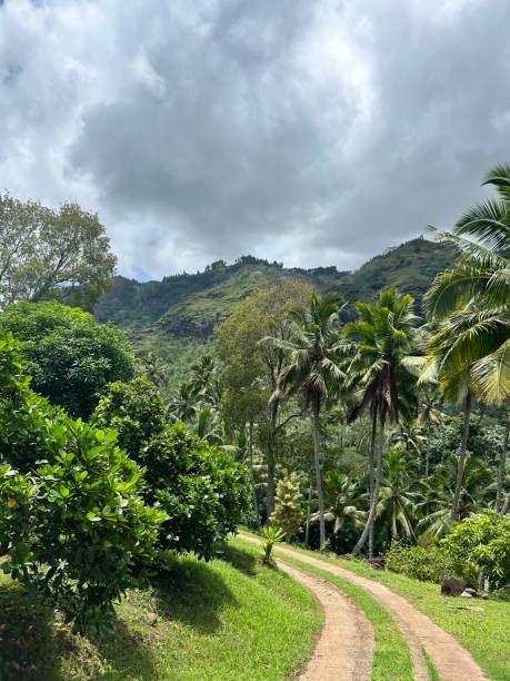 istock Road in Hiva OA 2169927301