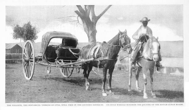 istock Horsedrawn Carriage, a Volante, in Cuba 2169930846