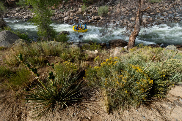 A group of people white water rafting on the Zambezi River. The Zambezi River is known for its challenging Class III to V rapids.