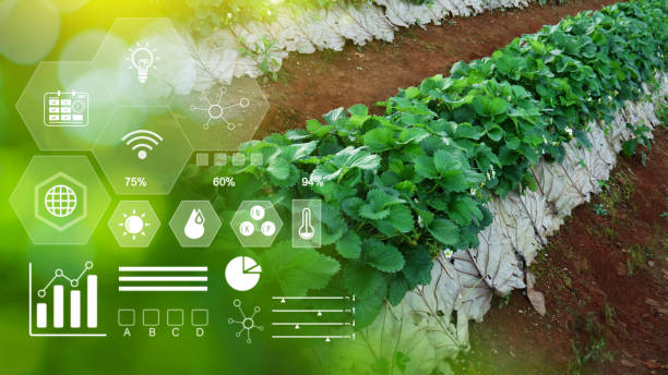 istock Infographics smart farming and precision agriculture with visual icon, Innovation technology for smart farm system, Agriculture management, smart technology concept modern technology. 2169932931