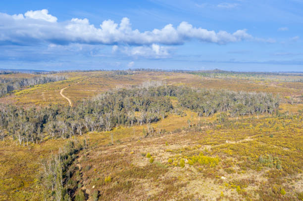 istock An open field surrounded by trees in a world heritage listed national park 2169933504
