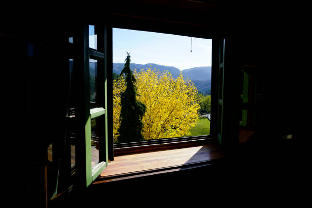 Tree with yellow leaves and the mountain range in the background through a window