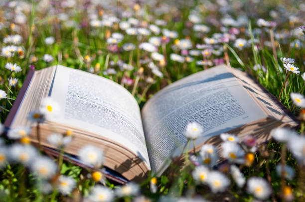 istock Open book in a meadow of daisies 2169934609