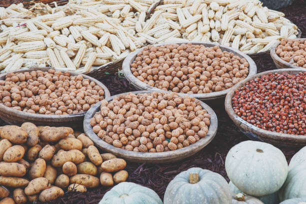 large containers with walnuts and hazelnuts, corn, pumpkins and potatoes outdoors, harvest concept.