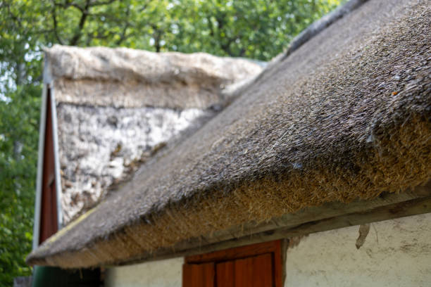 Close-up of a thatched roof with straw, showcasing the texture and craftsmanship. The background features greenery, suggesting a rural setting.