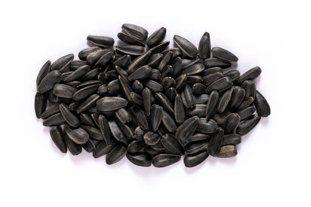 istock Pile of Sunflower Seeds on White 2169944376