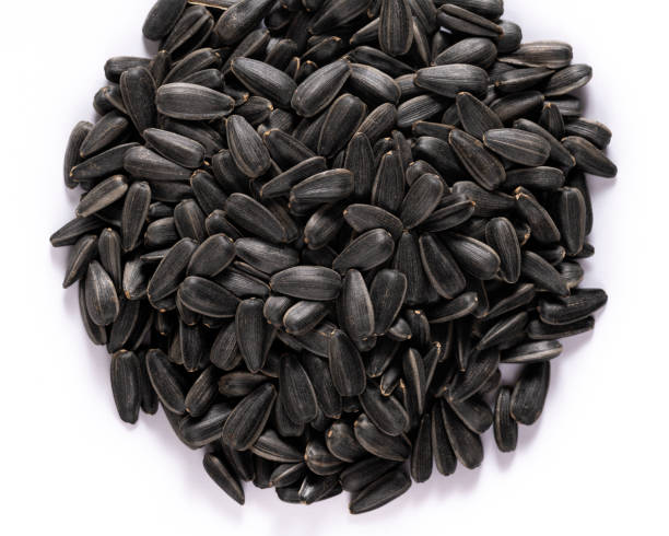 istock Pile of Sunflower Seeds on White 2169944541