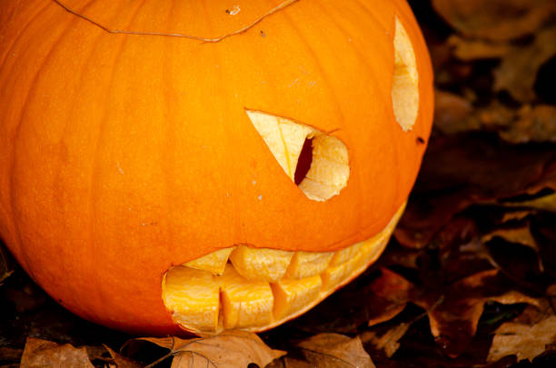 Halloween pumpkin close-up view