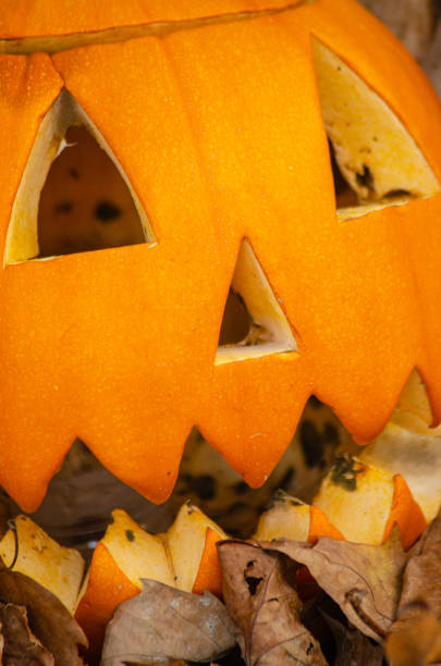 istock Halloween pumpkin close-up view 2169944655