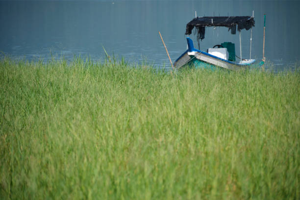 lakeside scenery