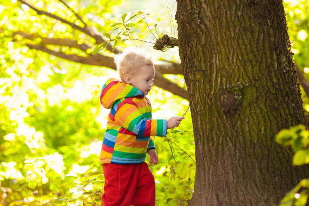 istock Kids playing in autumn park 2169945752