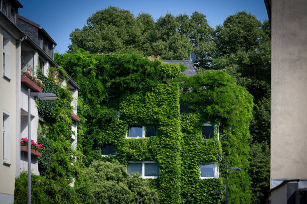 istock facade greening in cologne downtown 2169949319