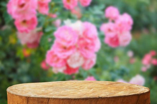 istock Empty old tree stump table top with blur rose garden background for product display 2169956238