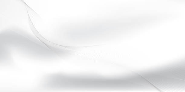 istock Abstract  white and gray color, modern design stripes background with curve lines, wavy pattern. Vector illustration. 2169959680