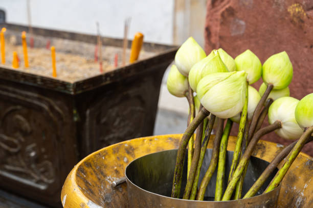 lotus in buddhism temple. Pink lotus flowers for paying homage placed. Copy space.