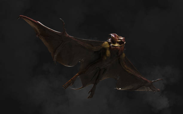 istock Blood thirsty vampire bat swooping in from the darkness. 2169964390