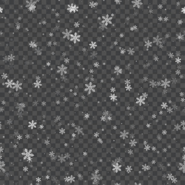11,700+ Snowflake Vector Transparent Stock Illustrations, Royalty-Free ...
